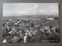 WILCHINGEN - WEINBAUGEBIET - REBEN - WINZER