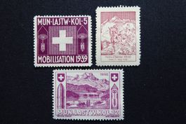(L16) Transportdienst Wit 30/1 + 38/1 + 40/1 ohne Gummi