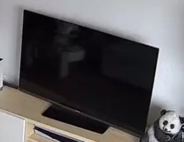 Fernseher schwarz guter Zustand