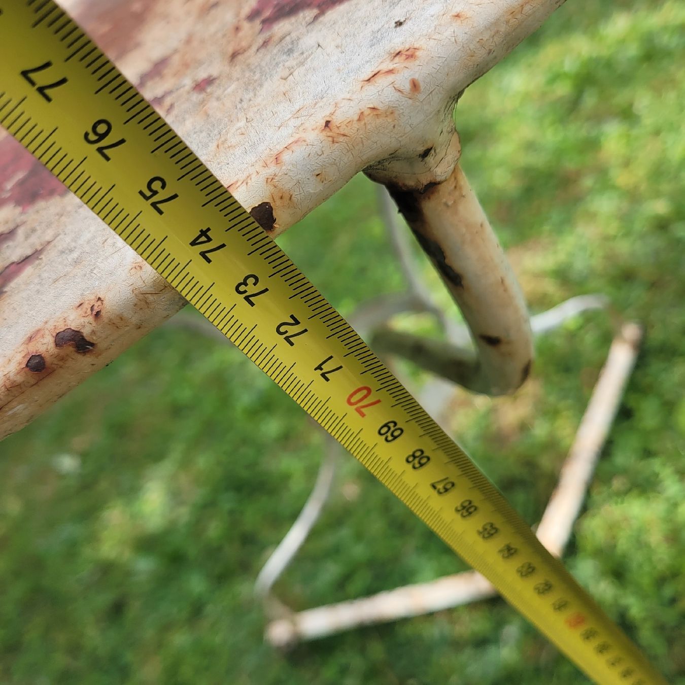 Tavoli: Antiker Gartentisch  – Usato da Schönenwerd venduto da rosamanda 4