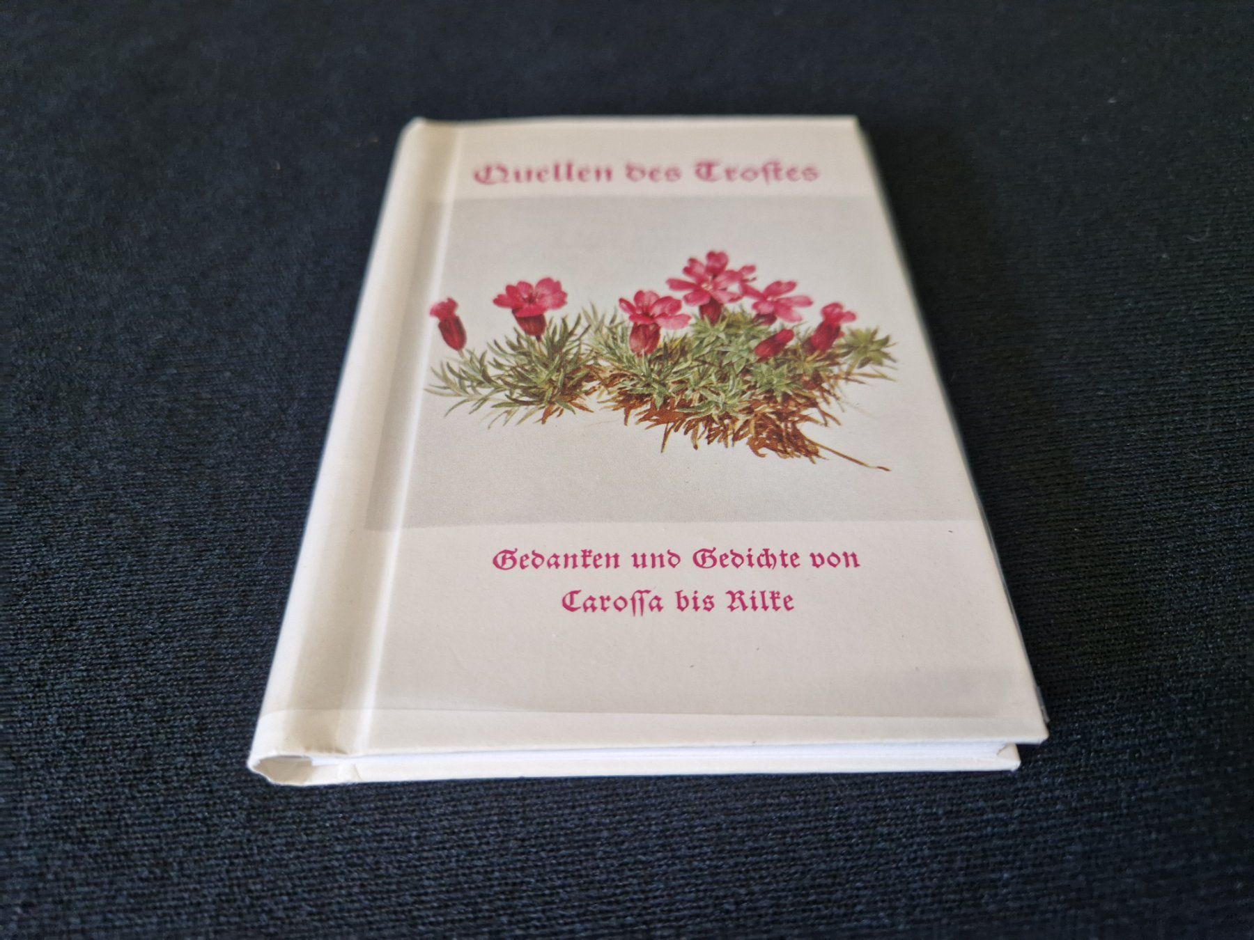 Libri: "Quellen es Trostes" – Usato da Muhen venduto da Restwert_Muhen 1