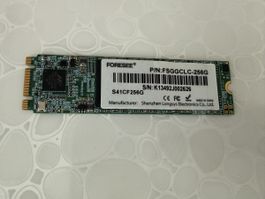 Foresee SSD FSGGCLC-256G 256 GB M.2 Speicher gebraucht