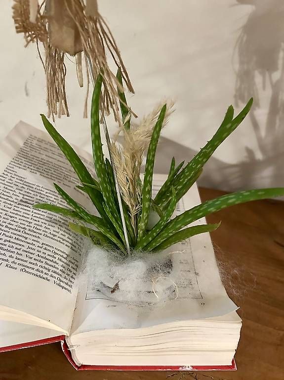 Libri: Aloe Vera im Buch – Usato da Frauenfeld venduto da Irene.Schuppli 4