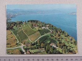 Halbinsel Au, Landgasthof, Zürichsee, Wädenswil, 1977