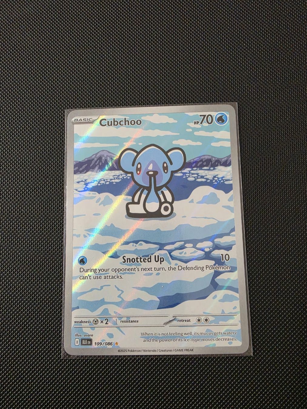 Pokémon Carte collezionabili: Cubchoo 109 Pokémon Black Bolt - Eng – Nuovo (secondo la descrizione) da Luzern venduto da heini81