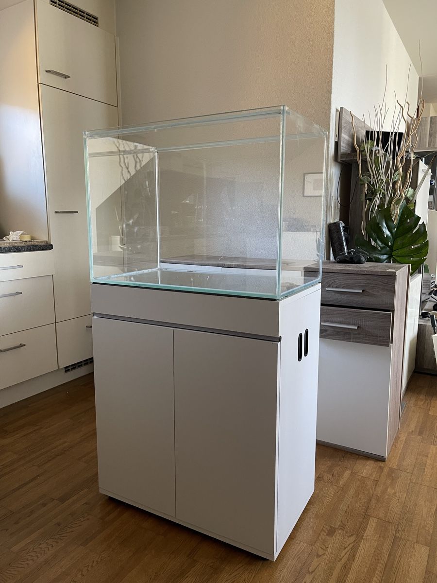Acquari: Aquarium 140 lt – Usato da Hinwil venduto da ron_t8wh 2
