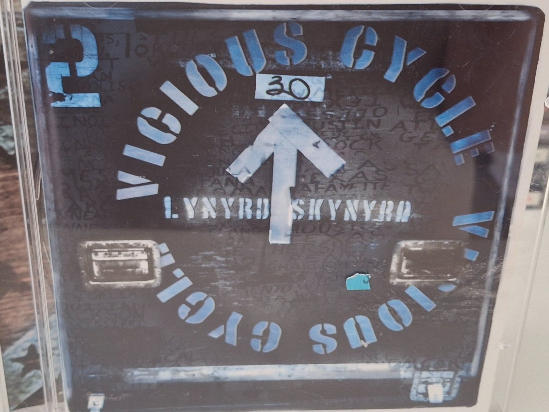 CD: CD Lynyrd Skynyrd - Vicious Cycle – Usato da Aarberg venduto da Jackup1