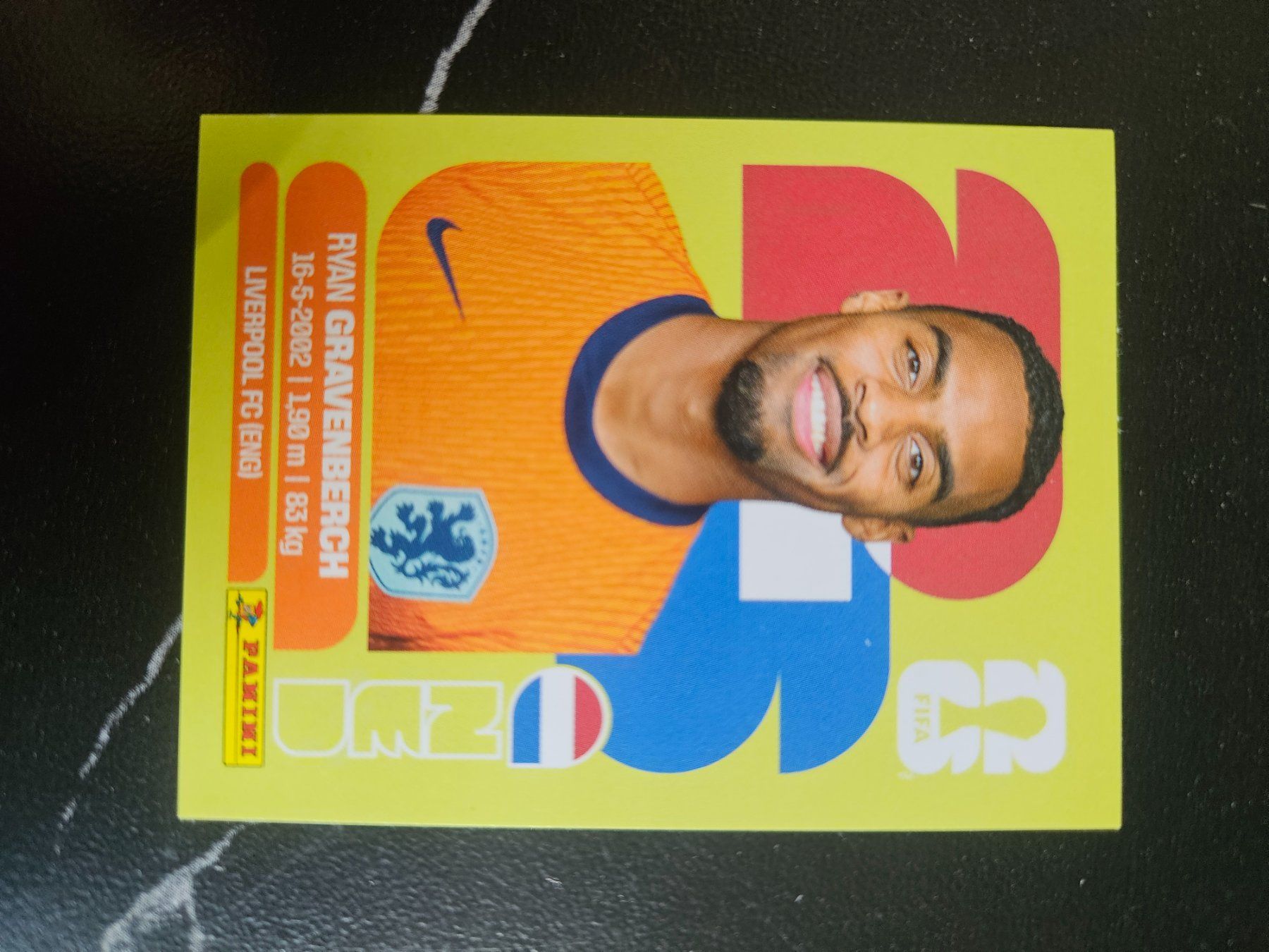 Panini Cartes à collectionner: NED 11 – D'occasion à Würenlingen par Dinli