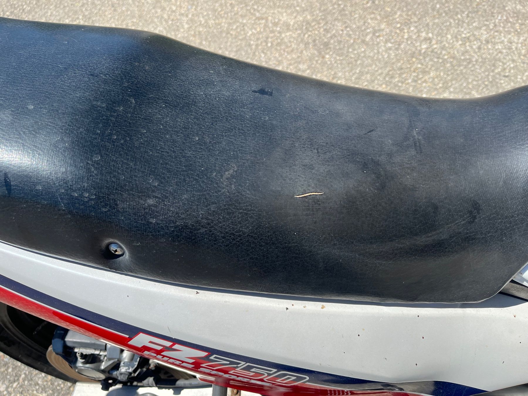 Yamaha Strada: Yamaha fz 750 à vendre – Usato da Arzier-Le Muids venduto da Jmb1960 5