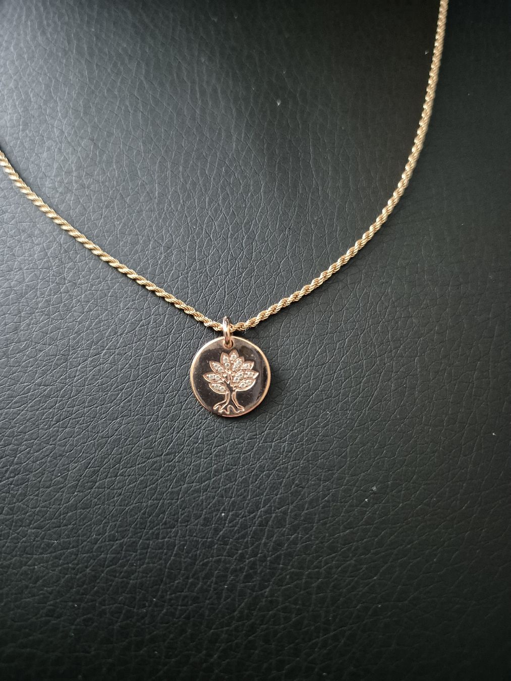 Thomas Sabo Ketten: Thomas Sabo – Gebraucht aus Oberentfelden von Eros09 2