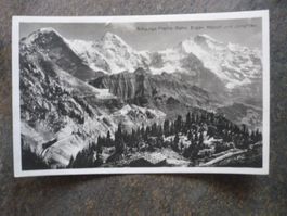 Ansichtskarte Schynige Platte-Bahn, Eiger, Mönch  Jungfrau