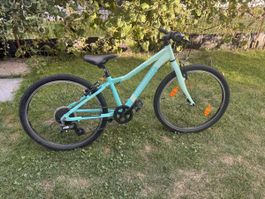 24-Zoll Crosswave Prime Rider – schönes Kindervelo