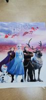Coole "Die Eiskönigin 2" Decke top Zustand