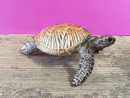 Schleich Meeresschildkröte Schildkröte Wasserschildkröte