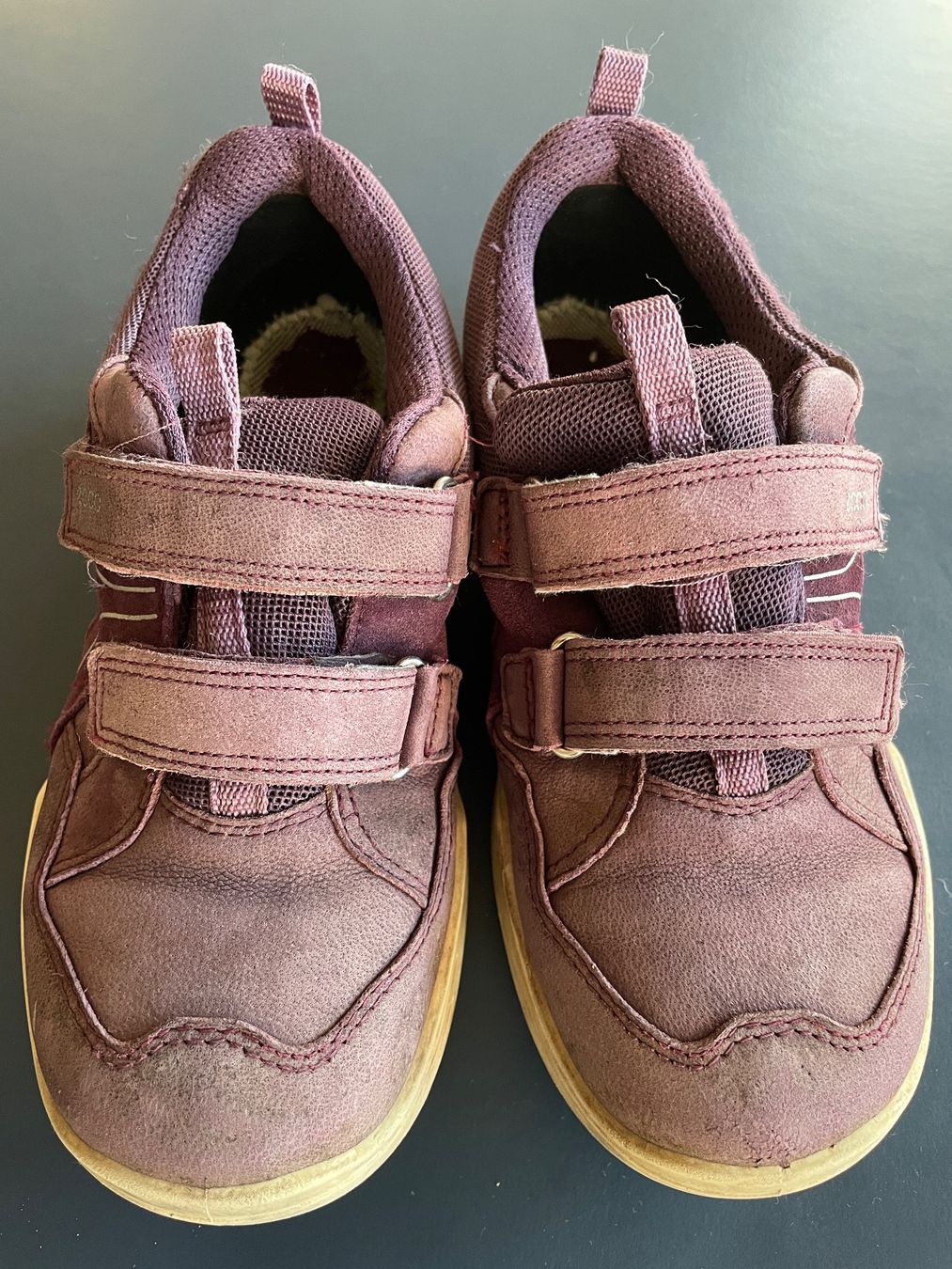 Ecco Scarpe per ragazzi: Grösse 34 Goretex Ecco Biom Halbschuhe Kinder violett – Usato da Winterthur venduto da calbecht 3
