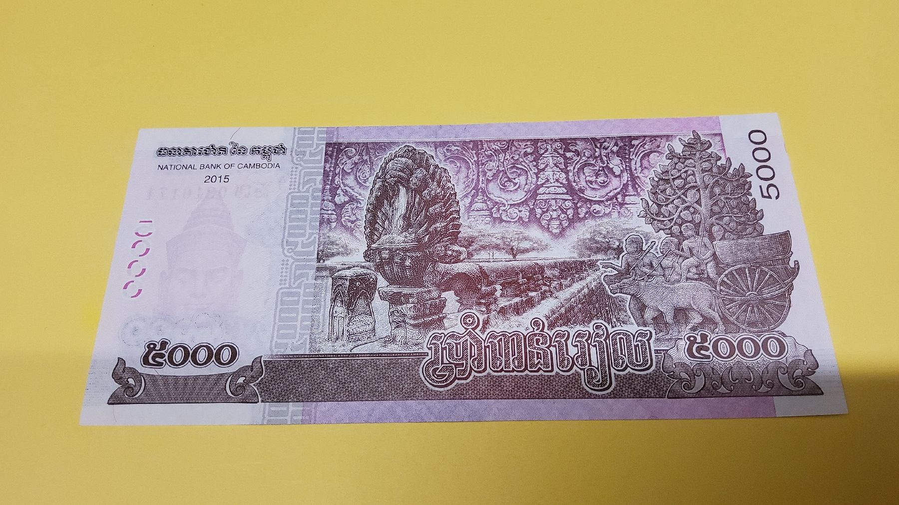 Banconote: Kambodscha 5000 Riel 2015, Banknote, Sammler – Nuovo e nell'imballaggio originale da Herisau venduto da Nluanalucas 1