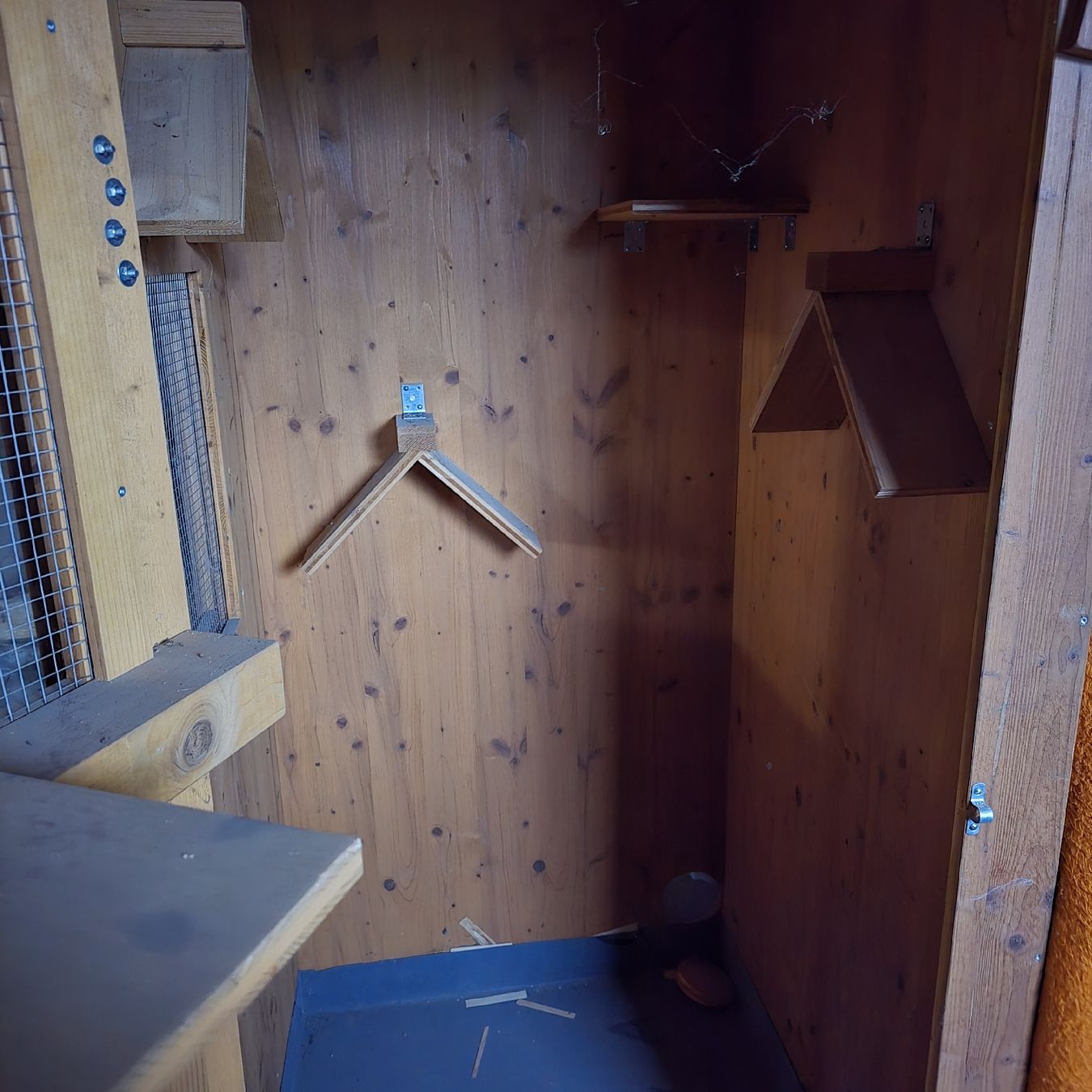 Casette per uccelli: Holz Voliere – Usato da Elsau venduto da Michis-Nymphen 4
