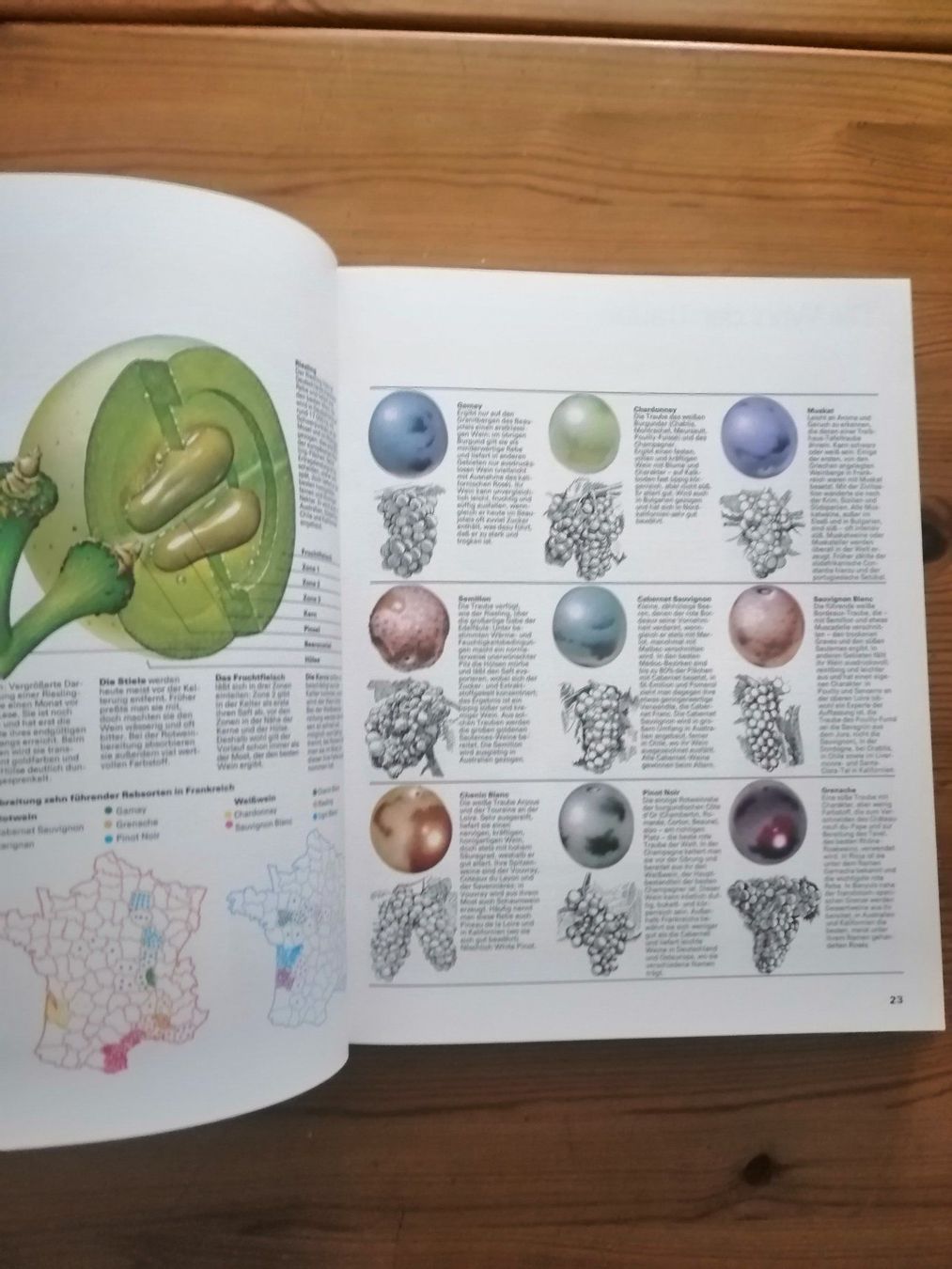 Libri: Weinatlas von Hugh Johnson – Usato da Hinterkappelen venduto da 1399 7