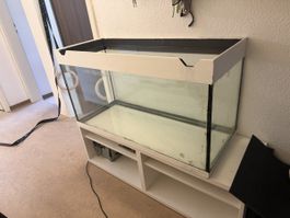 Aquarium