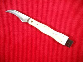 Pilzmesser Edelstahl-Klinge, Knochen-Griffschalen, Lederetui
