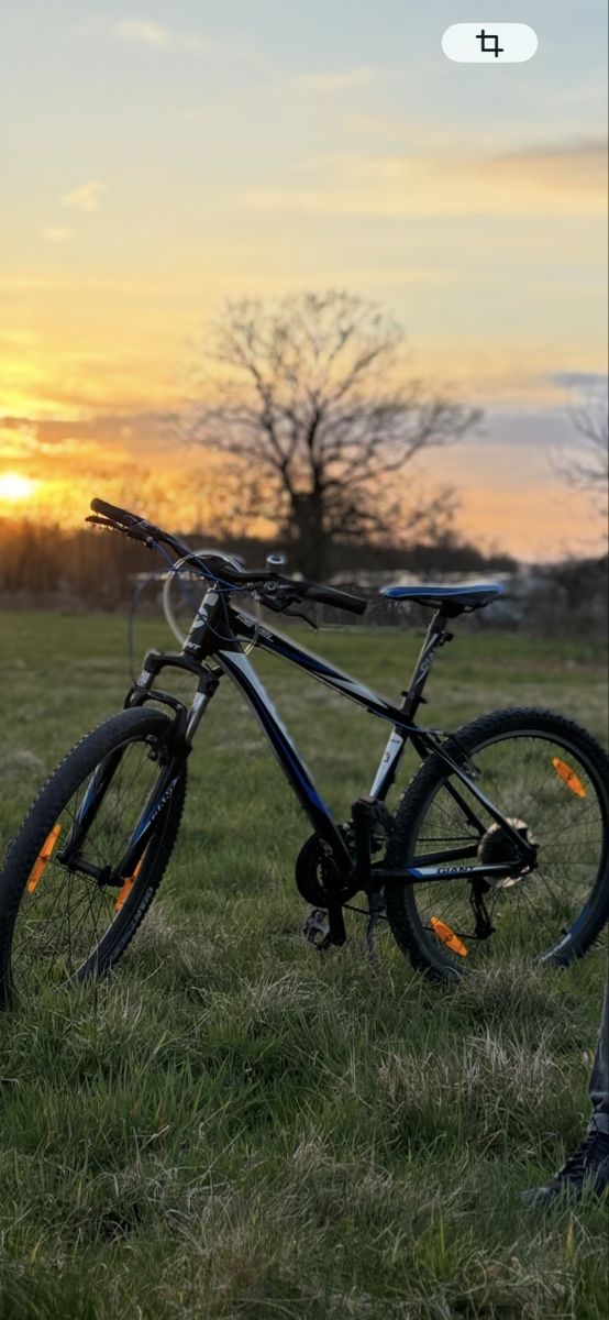 Biciclette: Velo Giant  – Usato da Brugg AG venduto da bar_d82d