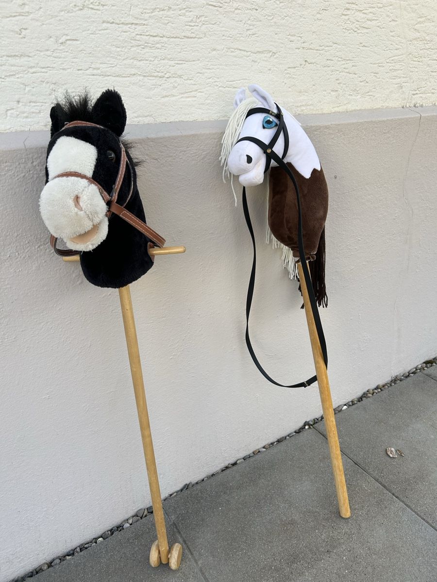 Spielzeuge: 2 Hobby-Horses – Gebraucht aus Münchenstein von paro07 1