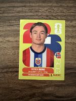 Panini Sticker NOR 14