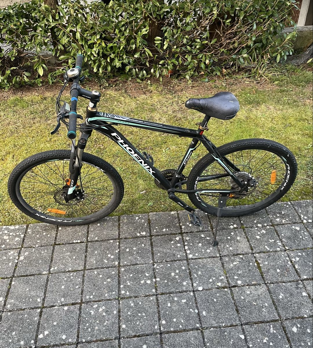 Phoenix Biciclette: Phoenix Velo – Usato da Sarnen venduto da flo_25mp
