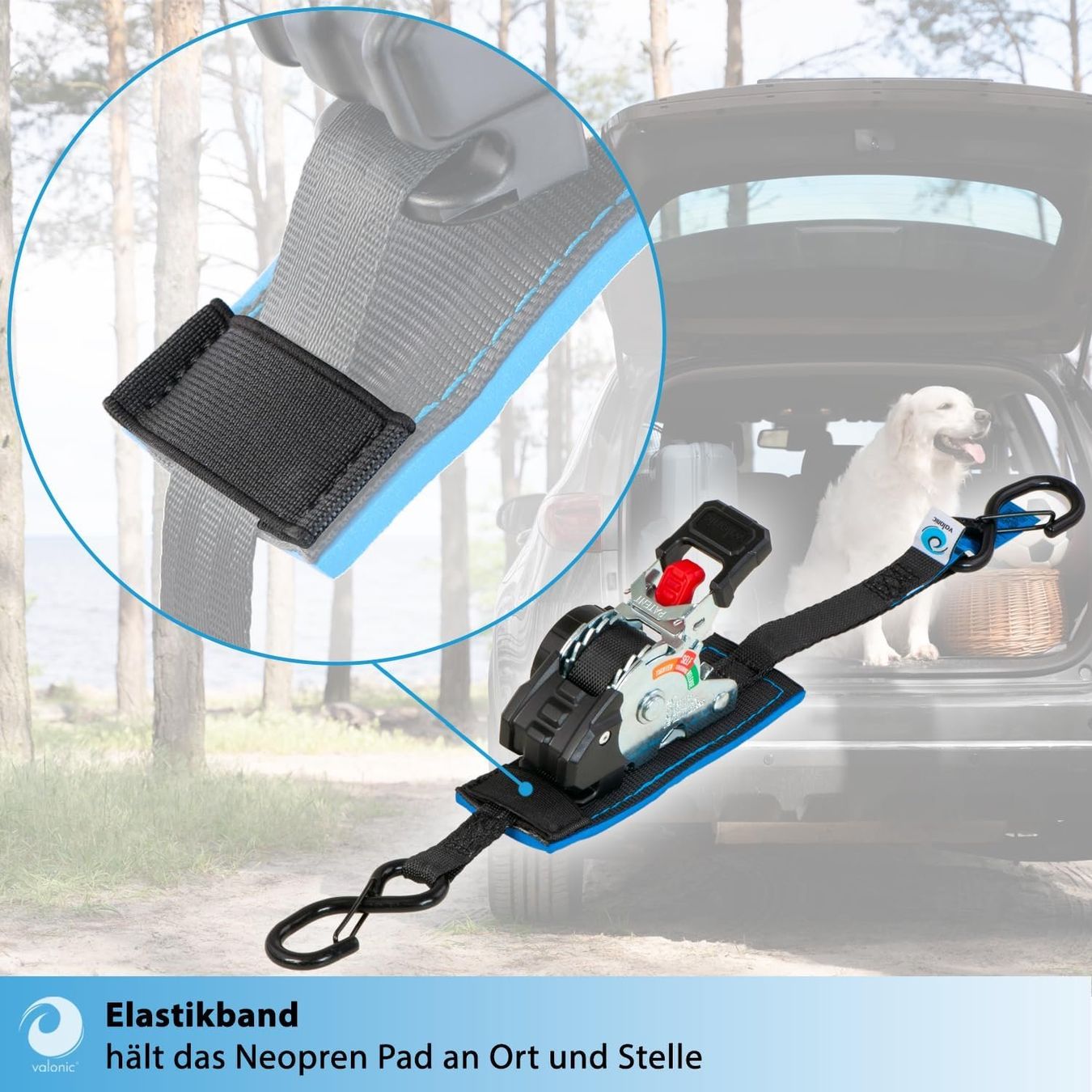 Tutti gli attrezzi: Spanngurte Automatik 2m 2er Set 150kg Mini – Nuovo e nell'imballaggio originale da Suhr venduto da TradeMasters 9