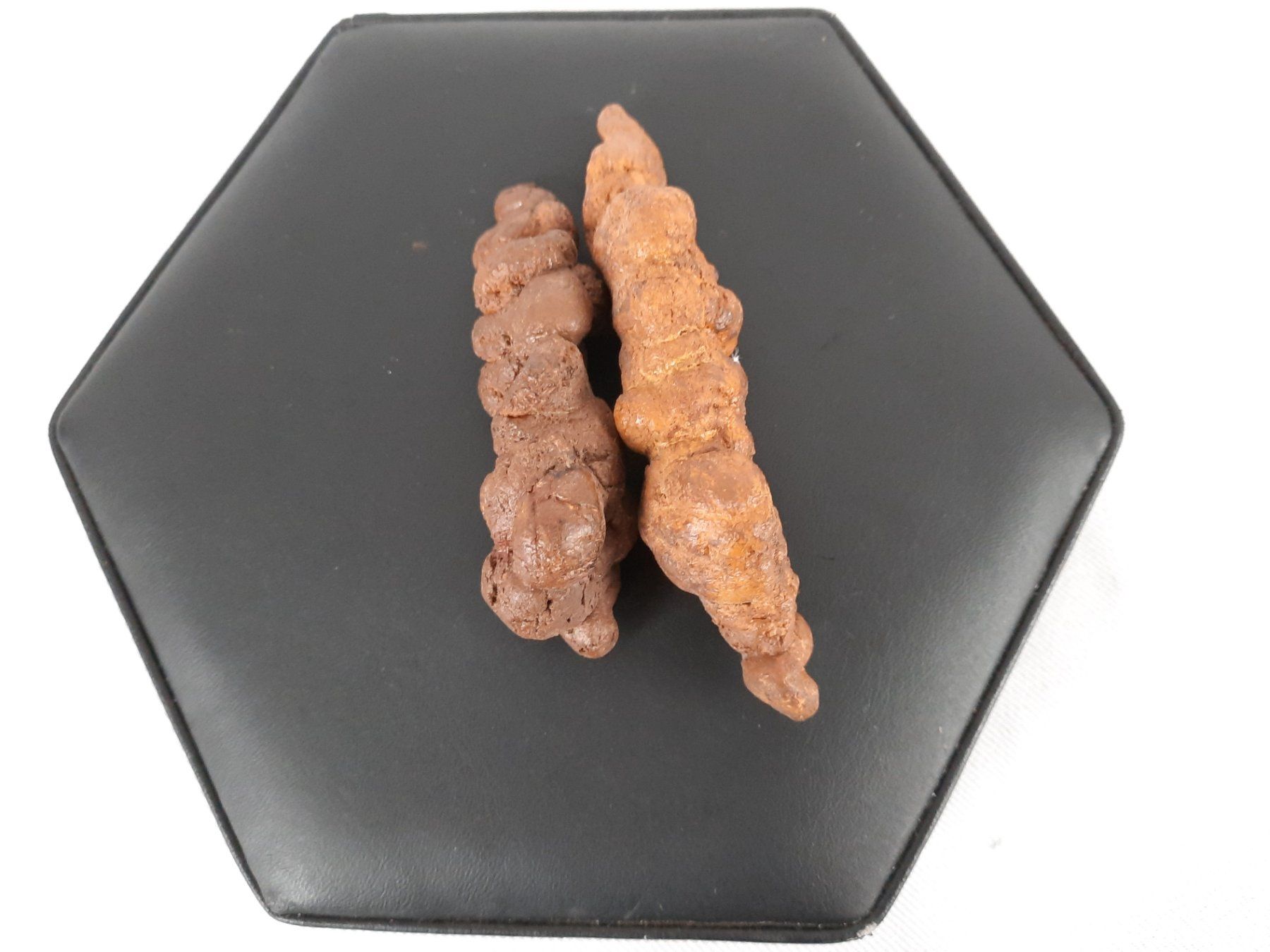 Fossilien: 2 Koprolith (Kotstein) – Gebraucht aus Beinwil am See von Restwert_Beinwil 3