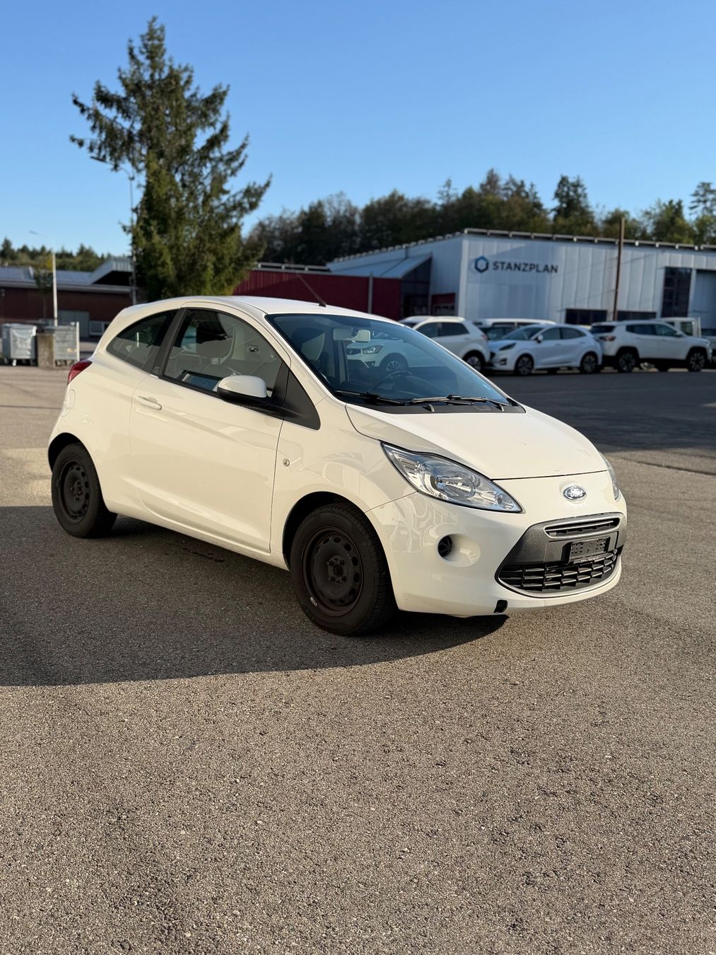 Ford Automobili: Ford Ka – Usato da Wolfwil venduto da nh.michelle03 1