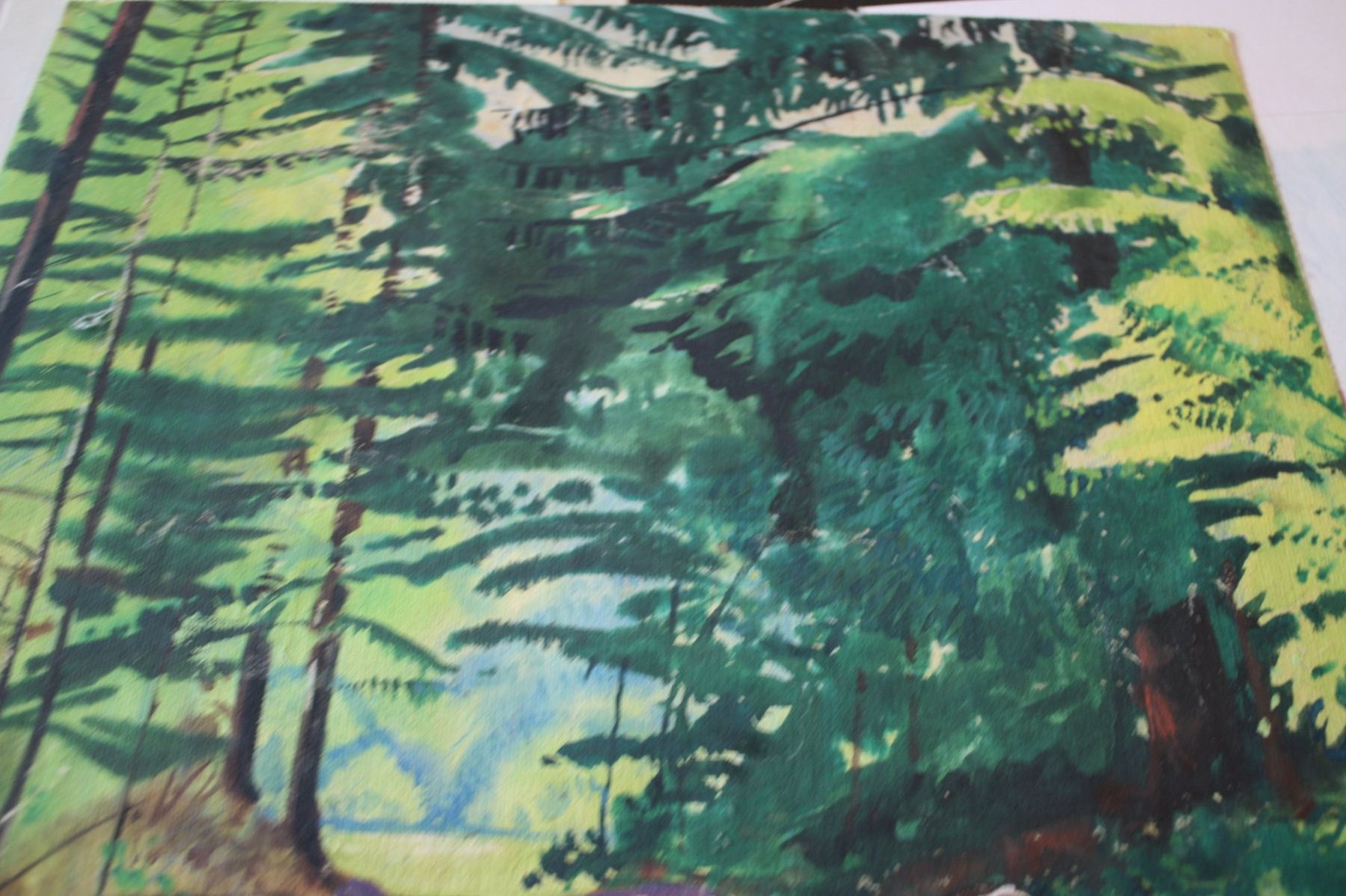 Dipinti: landschaft tempera signiert – Usato da Altstätten SG venduto da sulim 3