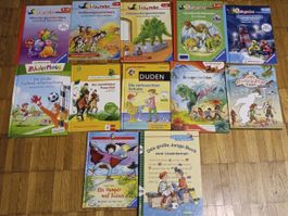 Lot 1. und 2. Lesestufe, Leserabe, 12 Bücher  📚