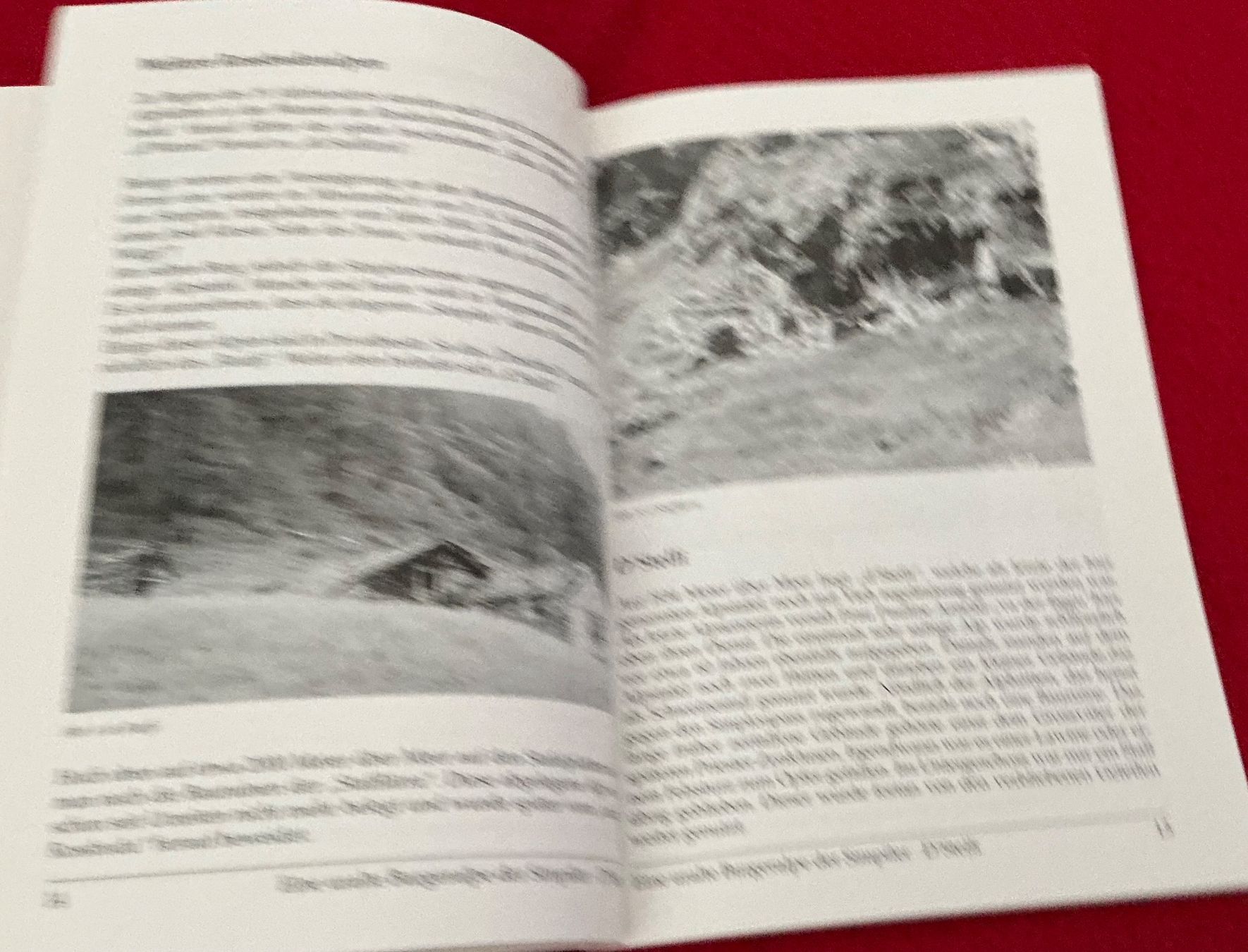Libri: D’Stelli Eine uralte Burgeralpe der Simpiler" - Schmidhalter – Usato da Crans-Montana venduto da plainemorte 3