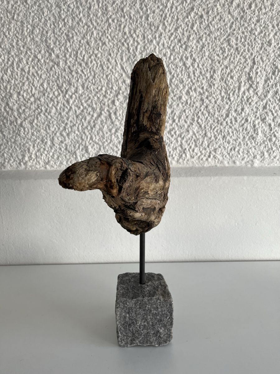 Sculture & Statue: Schwemmholz Skulptur – Usato da Wetzikon ZH venduto da seli03 7