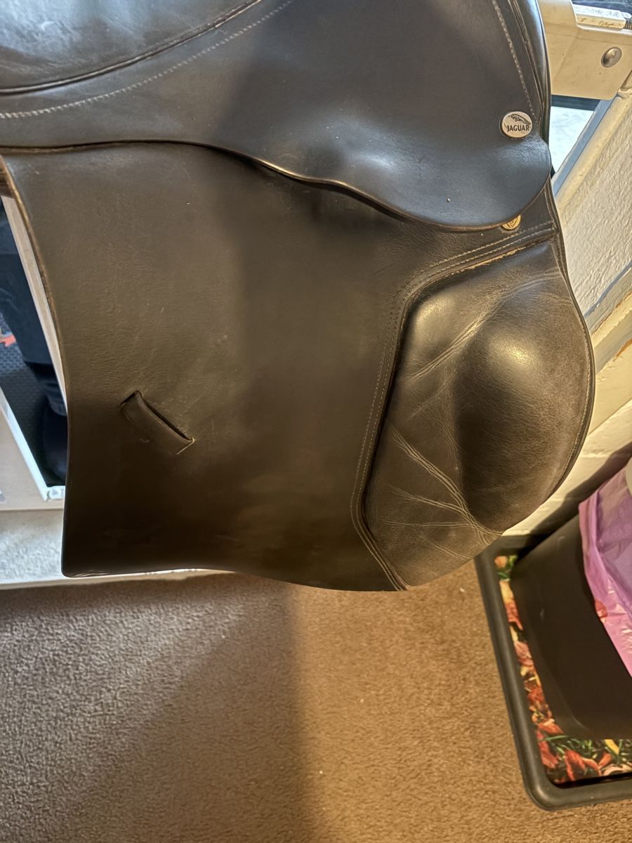 Selle & Accessori: Vielseitigkeitssattel, Leder – Usato da Niederglatt ZH venduto da Rubina2 2