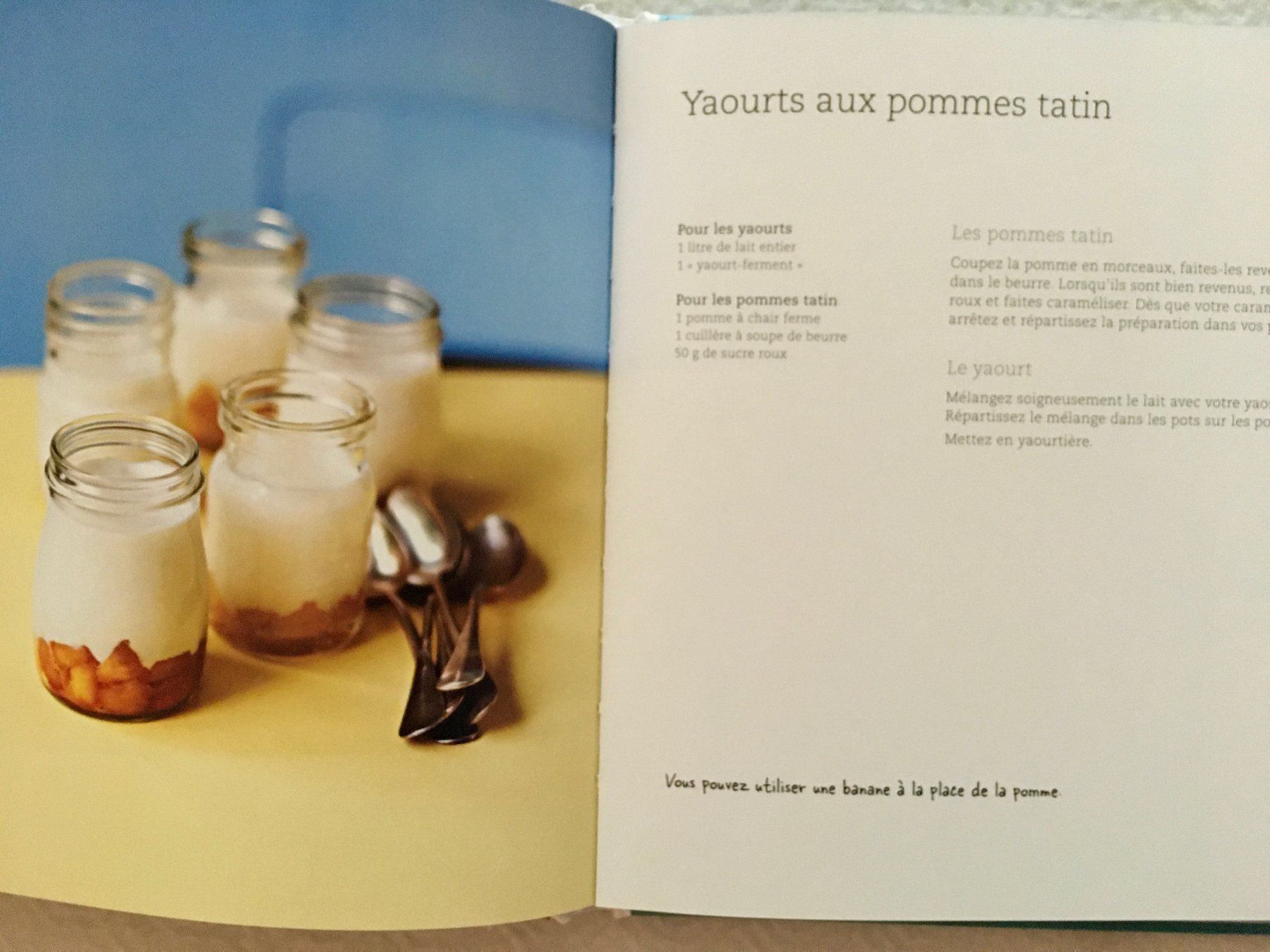 Libri: Livre de recettes pour yaourts – Usato da Carouge GE venduto da pierre956 2