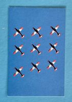 Stans - Pilatus - PC-7-Team in Formation - Aviatik