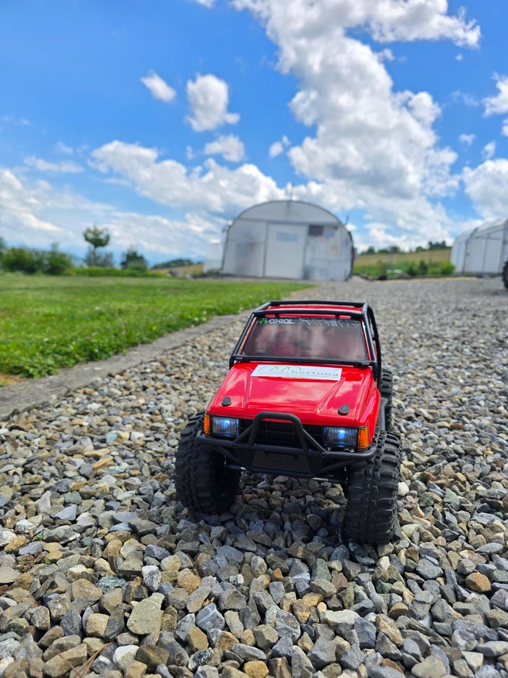 RC Modellbau: Ferngesteuertes Auto – Gebraucht aus Winikon von Profi-Line