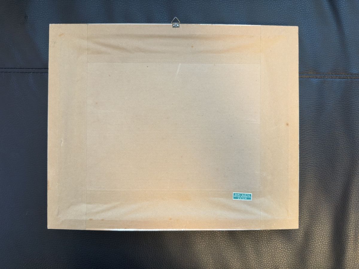 Dipinti: Alter Kunstdruck Seeufer im Herbst – Usato da Hinwil venduto da sin_9j5s 5