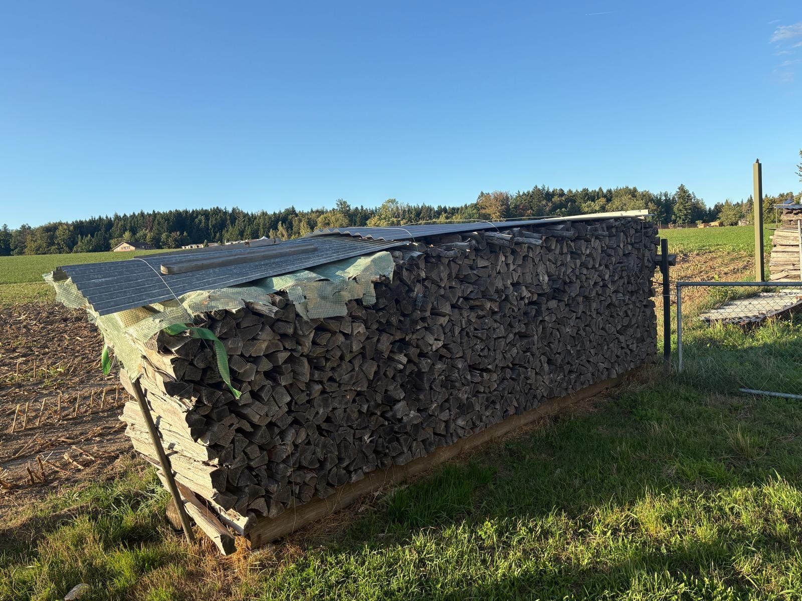 Articoli in legno: 12 Ster Brennholz gemischt – Nuovo (secondo la descrizione) da Wohlen b. Bern venduto da Grogg04 1