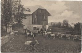 LANDWIRTSCHAFT/BAUERNHAUS 1927 Höhe La Tanne Tavannes BE