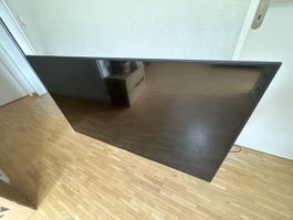 Sony 65 Zoll