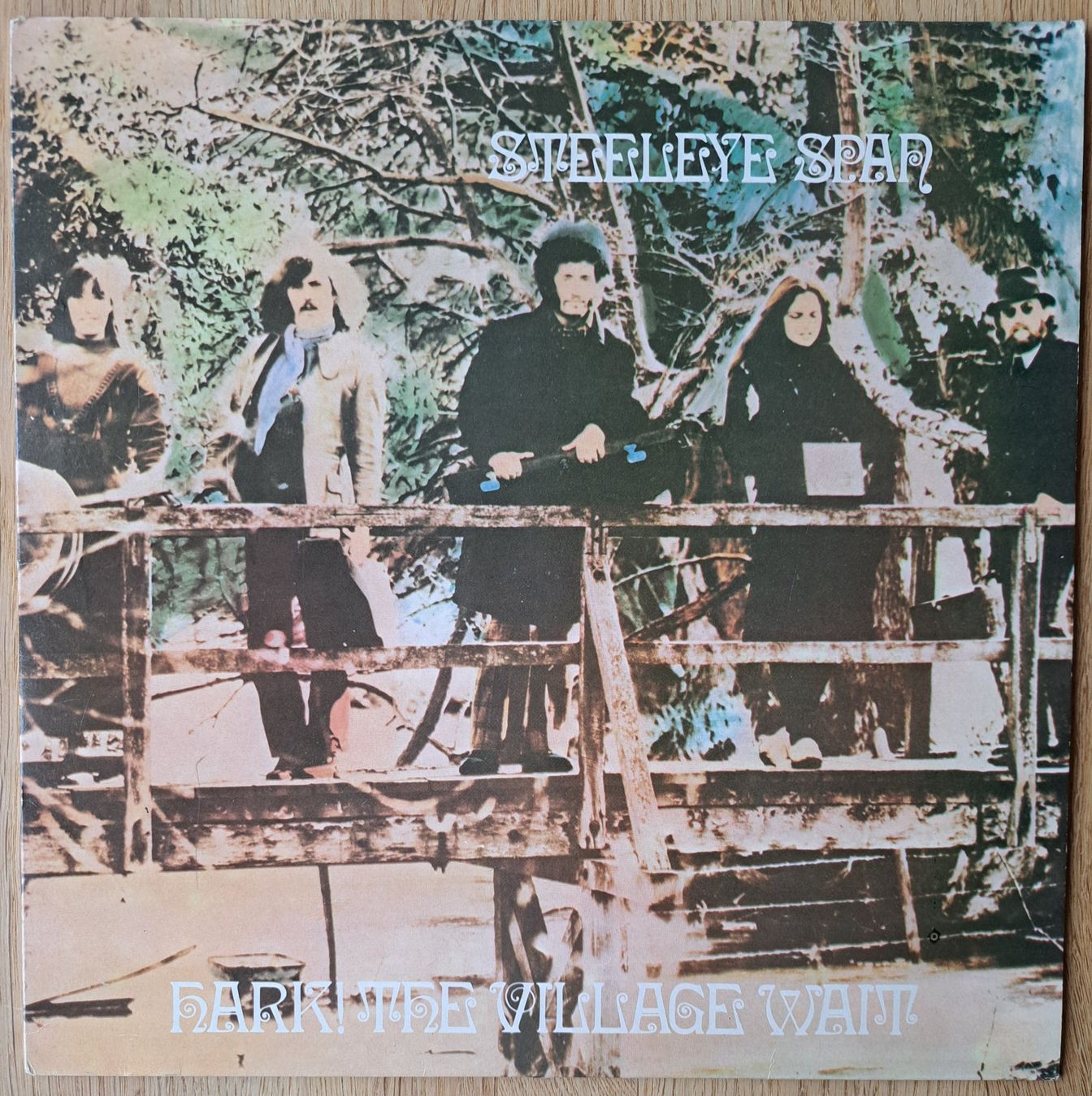 Dischi in vinile: Steeleye Span - Hark! The village wait – Usato da Meggen venduto da Ricardokoch