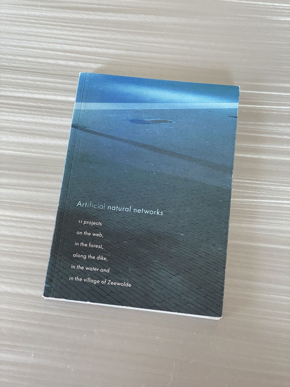 Bücher: Art / Architecture - Artificial natural networks – Gebraucht aus Zürich von Abost