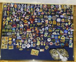 Grosse Sammlung von Pins - Viele Raritäten!