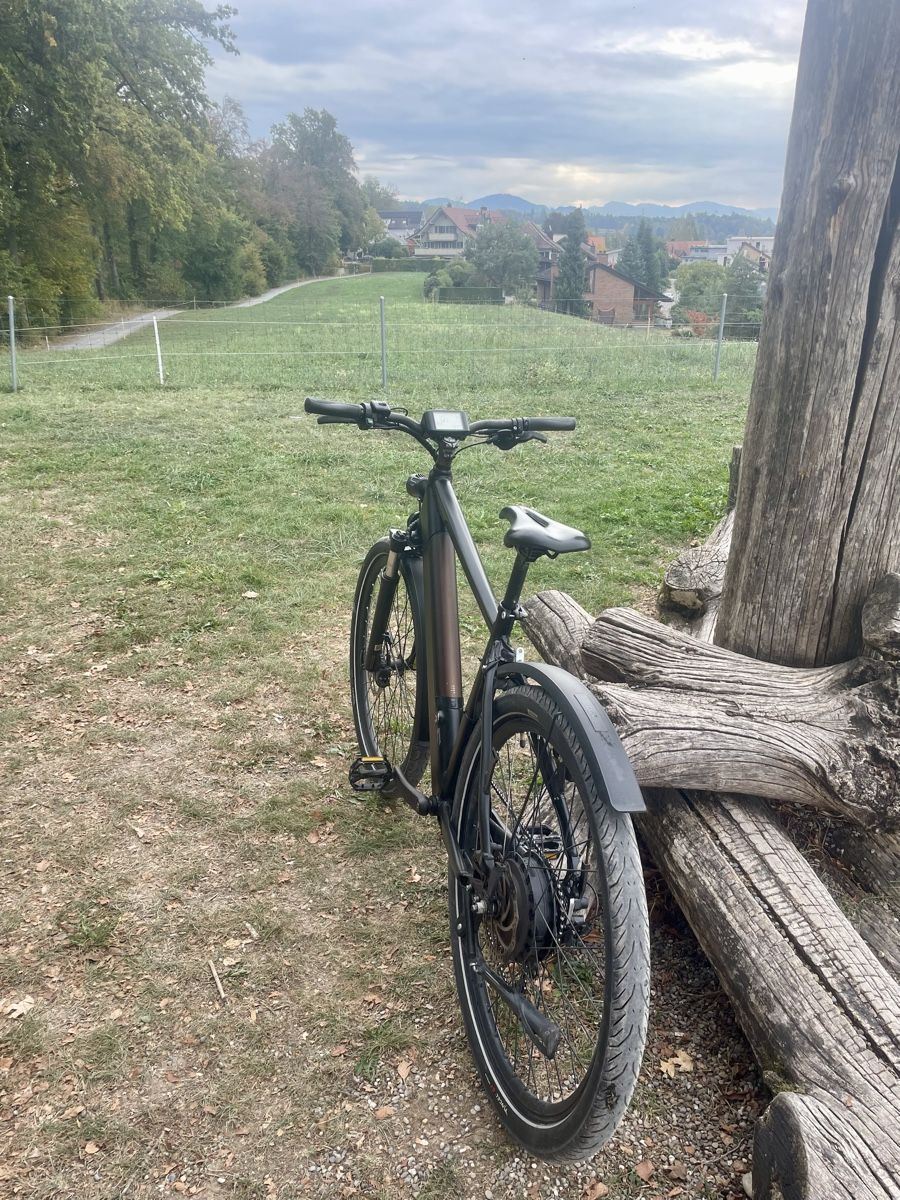 Trelago Vélos: S Pedelec/E-Mountainbike – D'occasion à Uster par FRIEDEN8610 3
