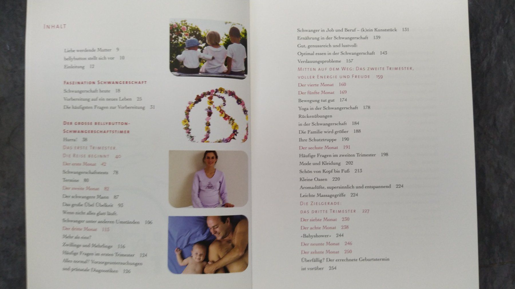 Libri: Schwangerschaftsbuch bellybutton – Usato da St. Gallen venduto da Patrizia0711 2