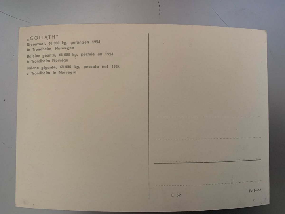 Cartoline postali: Cousset - la baleine rebaptisée Goliath – Nuovo (secondo la descrizione) da Cousset venduto da Agorboss 1