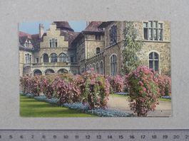 Zürich, 1918, Landesmuseum, Rosenbäumchen